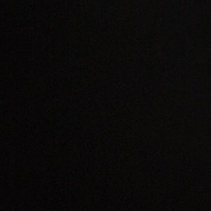 Meet your Posher, Maddie